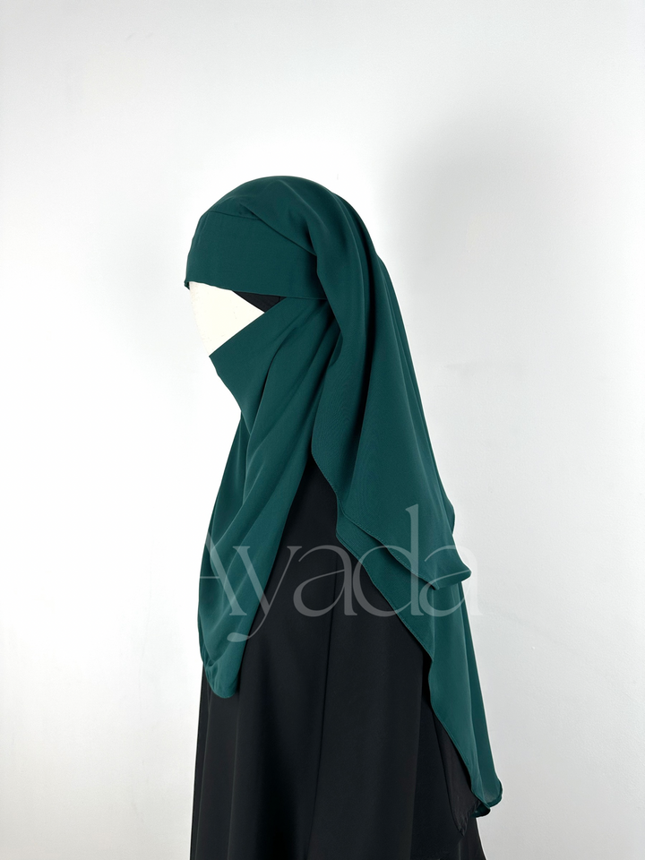 Niqab/Sitar Malaysia Pull Down